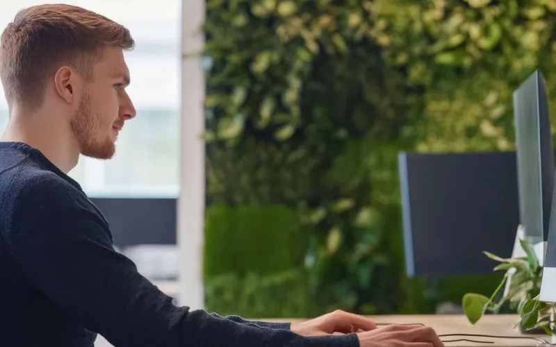 developer full-stack